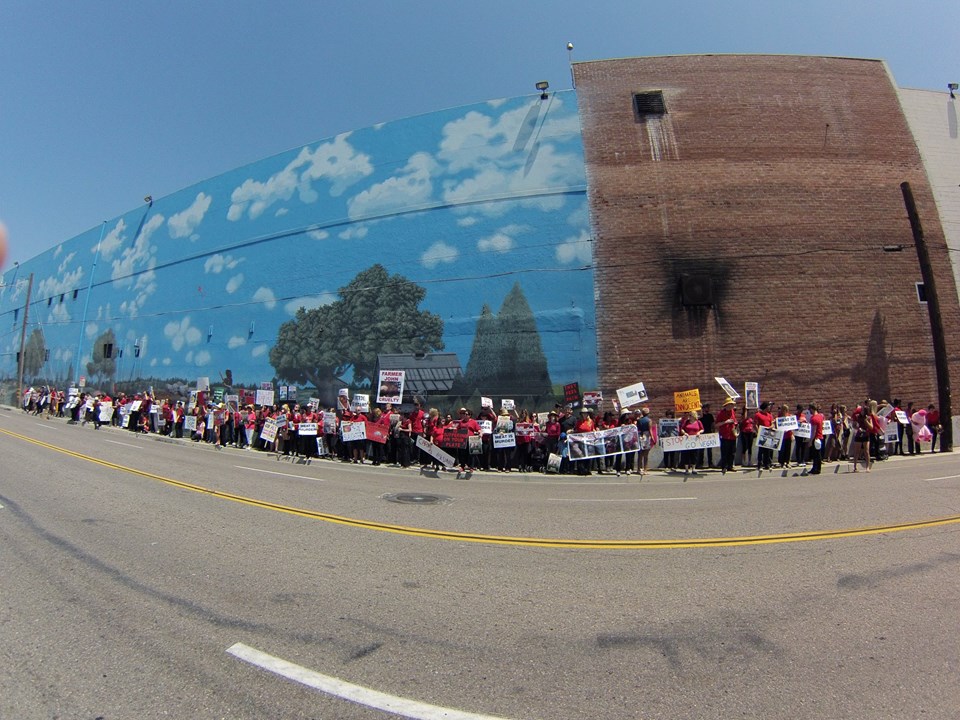 Marche pour la fermeture des abattoirs à Los Angeles